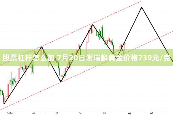 股票杠杆怎么加 7月20日谢瑞麟黄金价格739元/克