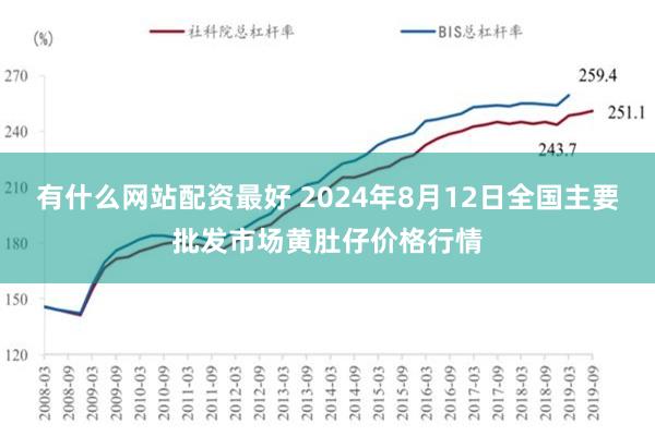 有什么网站配资最好 2024年8月12日全国主要批发市场黄肚仔价格行情