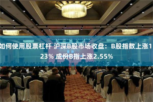 如何使用股票杠杆 沪深B股市场收盘：B股指数上涨1.23% 成份B指上涨2.55%