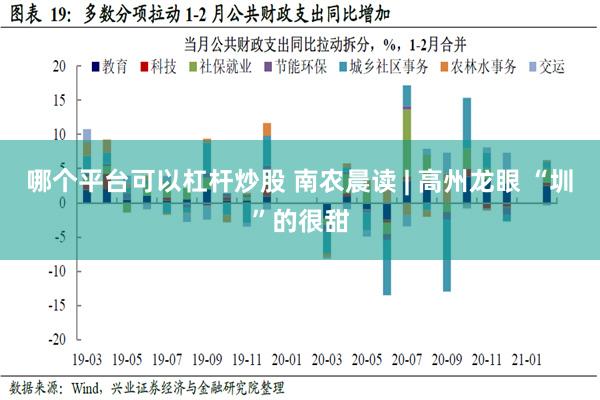 哪个平台可以杠杆炒股 南农晨读 | 高州龙眼 “圳”的很甜