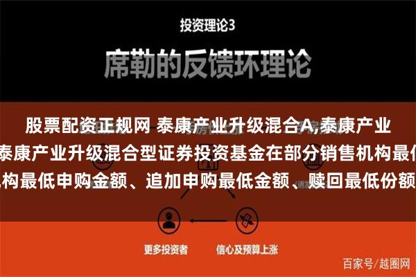 股票配资正规网 泰康产业升级混合A,泰康产业升级混合C: 关于调整泰康产业升级混合型证券投资基金在部分销售机构最低申购金额、追加申购最低金额、赎回最低份额和持有最低限额的公告