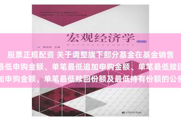 股票正规配资 关于调整旗下部分基金在基金销售机构及直销机构的单笔最低申购金额、单笔最低追加申购金额、单笔最低赎回份额及最低持有份额的公告