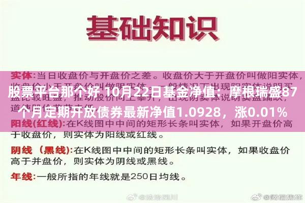 股票平台那个好 10月22日基金净值：摩根瑞盛87个月定期开放债券最新净值1.0928，涨0.01%