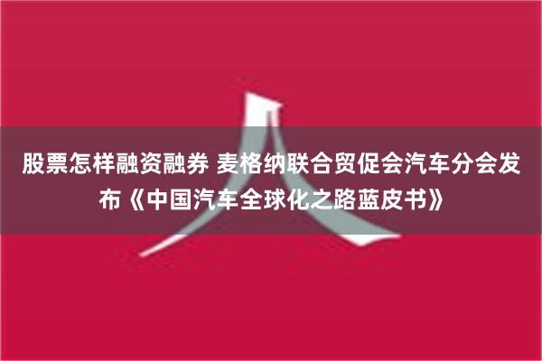 股票怎样融资融券 麦格纳联合贸促会汽车分会发布《中国汽车全球化之路蓝皮书》