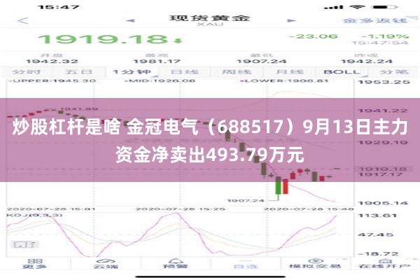 炒股杠杆是啥 金冠电气（688517）9月13日主力资金净卖出493.79万元